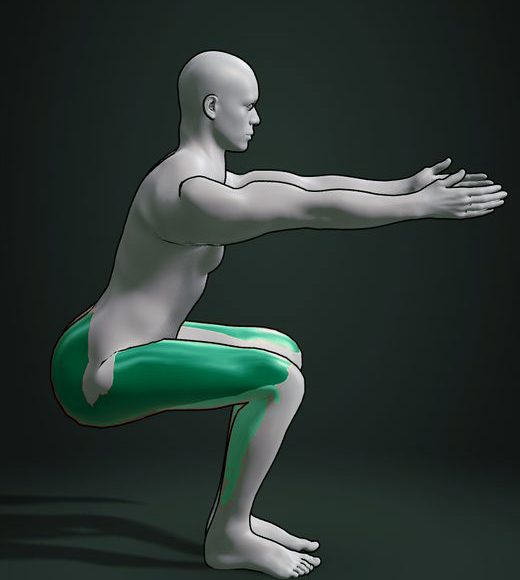 A 3D athlete in the bottom of a squat, with the working muscles painted.