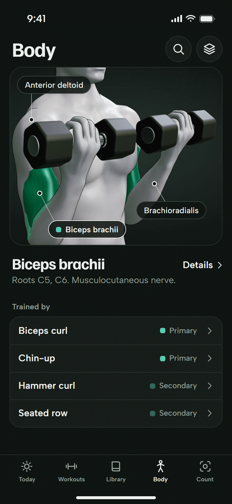 The Body screen. A 3D athlete with the biceps brachii selected, and the lifts that train it. Dark theme.